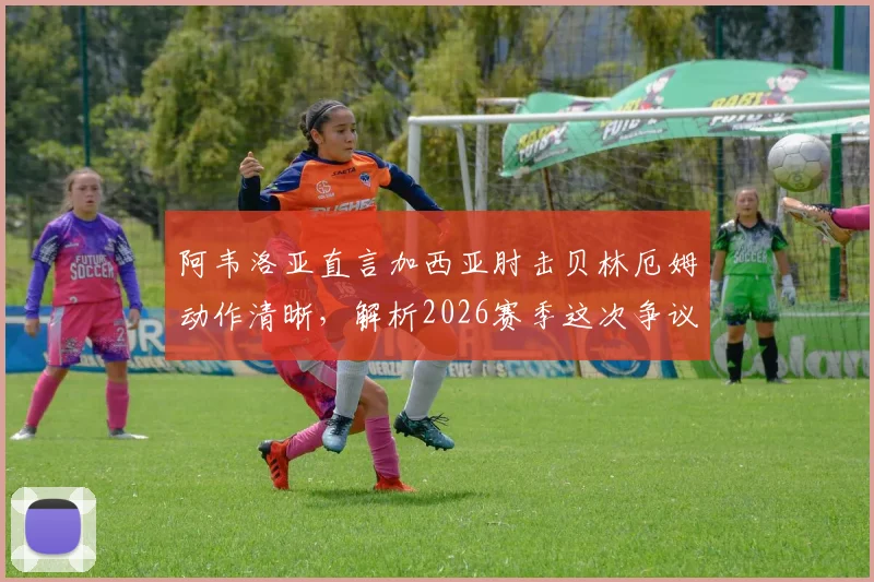 阿韦洛亚直言加西亚肘击贝林厄姆动作清晰，解析2026赛季这次争议判罚与球迷愤怒缘由