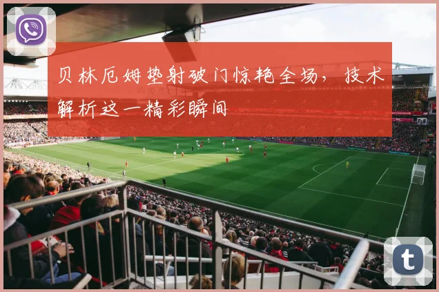 贝林厄姆垫射破门惊艳全场，技术解析这一精彩瞬间